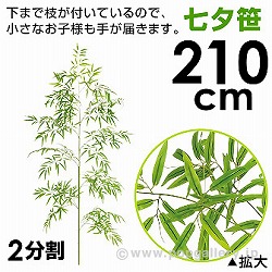 210cmou[c[ TT2-4015